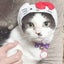 pepomama0323のサムネイル