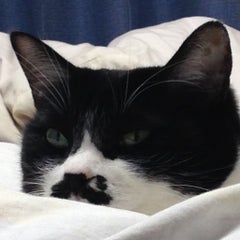 mayuのプロフィール