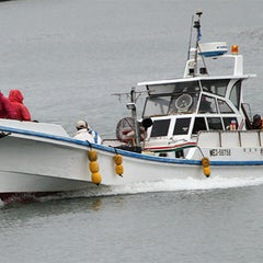 鳥羽 フィッシュ菅島 釣り物語 釣果情報