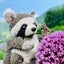 shintosa6001のサムネイル