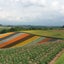 hanna2019のサムネイル
