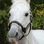 画像 evianの一口馬主日記のユーザープロフィール画像