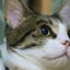 TOUCHY65のサムネイル
