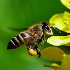 風に吹かれてのプロフィール