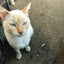 Kakoimaru Kakoiのサムネイル