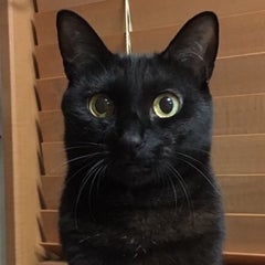 peroのプロフィール