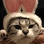 quechannelのサムネイル