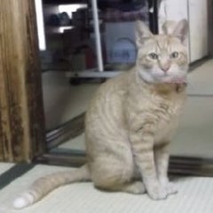 eee-dushi（soenaptaemuim）のプロフィール