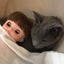 アルママのサムネイル