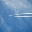 画像 飛行機雲のブログのユーザープロフィール画像