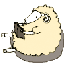 こでまりのサムネイル