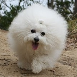 みっちゃんさんのプロフィールページ