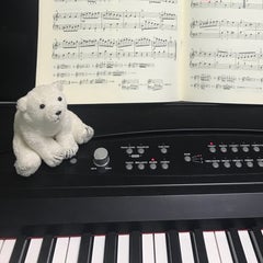 よっし〜のプロフィール