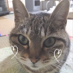 やさはなのプロフィール