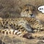 画像 きまぐれにっ記のユーザープロフィール画像
