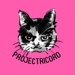 プロジェクトリコロのプロフィール