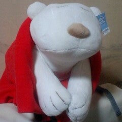 せかんどのプロフィール