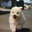 380のサムネイル