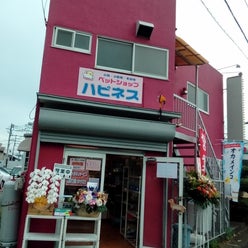 埼玉県ペットショップハピネス 小動物専門店 鳥類中心?その他哺乳類など販売中です さんのプロフィールページ