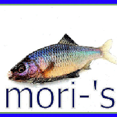 mori-'sのプロフィール