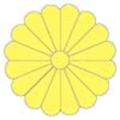 三角泰利のプロフィール