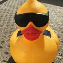 petendukのプロフィール