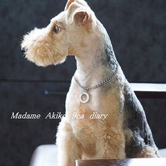 マダムアキコのプロフィール