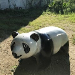 ひぐちのりこのプロフィール