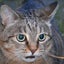 画像 『猫徒然日記』のユーザープロフィール画像