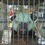 ふぅのサムネイル