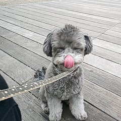 Trovareのプロフィール