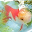 ニコあかりのサムネイル