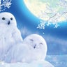 バービーのプロフィール