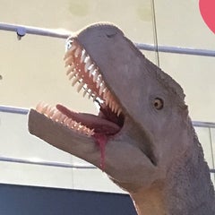 つぼのプロフィール