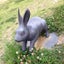あさりのサムネイル