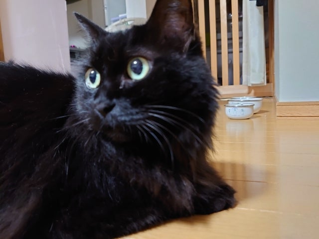 かな