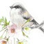 millepiediのサムネイル