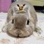 creaのサムネイル