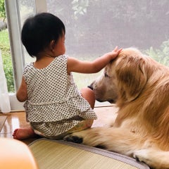 おしばのプロフィール