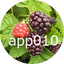 app-amepi010のサムネイル