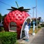 chachaのサムネイル