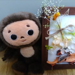 えれなのプロフィール