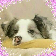 Lettyのプロフィール