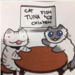 ノラネコのプロフィール