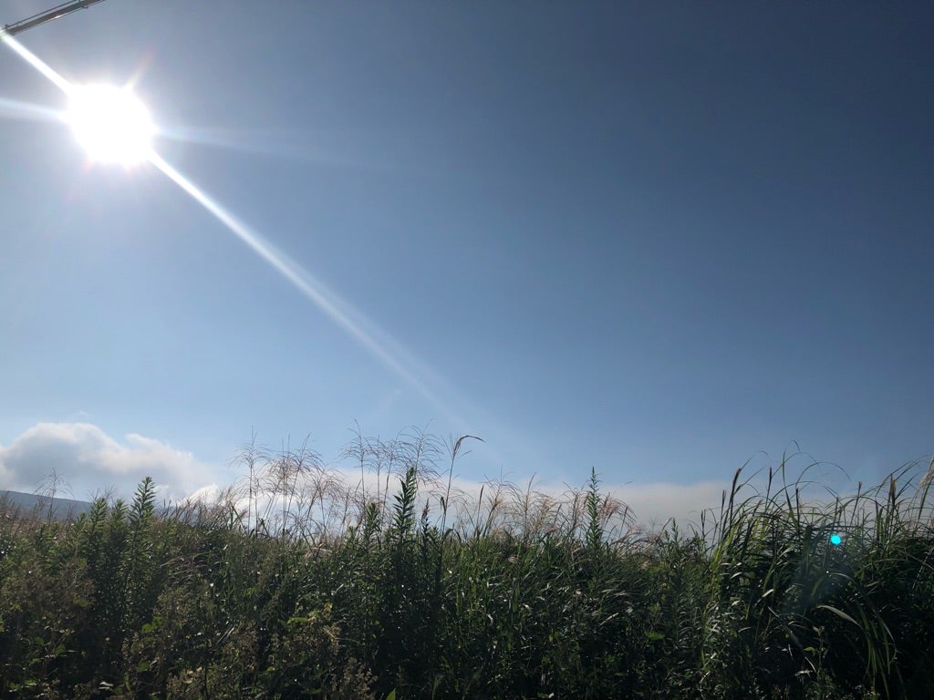 キャパ狭い夫 未熟な夫 モラハラ夫 浮気夫