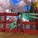 PSO2 ship2 鶴の舞い チームブログ