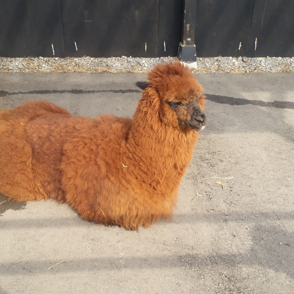 マウント大好き、嫌味な姑 Have a nice day♡╰(*´︶`*)╯♡