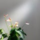 ラクな暮らし　Junのおすすめのサムネイル