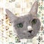 画像 高橋籐寿＠栃木県在住のあの世とこの世を結ぶ猫好きメッセンジャーのユーザープロフィール画像