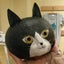 ひまわりのサムネイル